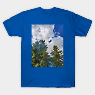 Trees, Clouds, and Campfire Smoke T-Shirt